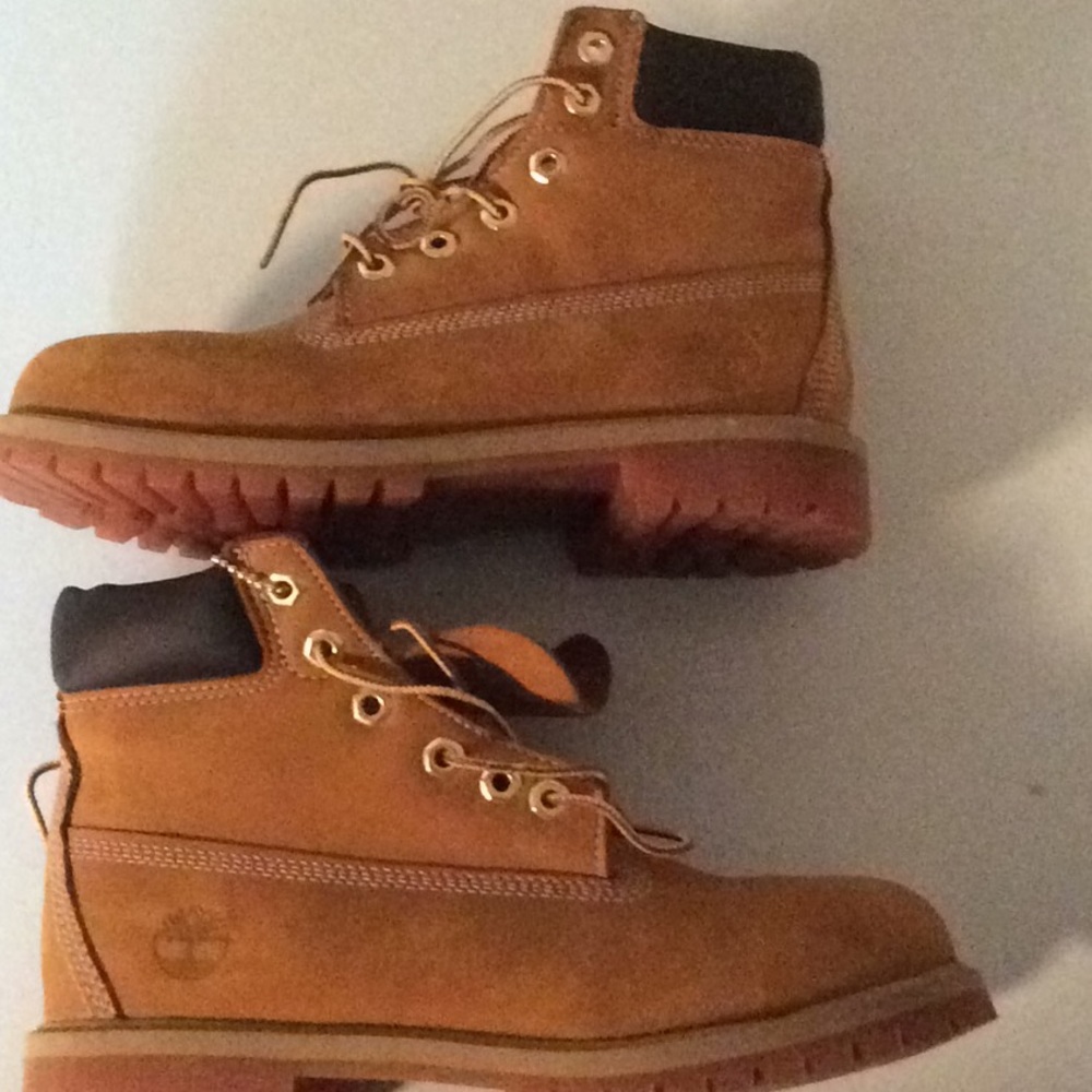 Timberland Premium 6in Waterproof in box